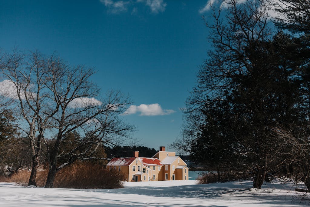 Winter scene with a quaint yellow house surrounded by snow and bare trees in New Hampshire.